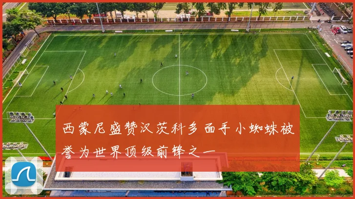 西蒙尼盛赞汉茨科多面手小蜘蛛被誉为世界顶级前锋之一