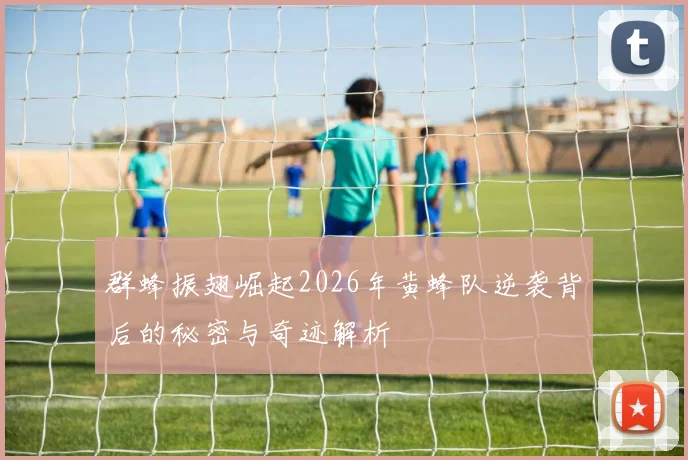 群蜂振翅崛起2026年黄蜂队逆袭背后的秘密与奇迹解析