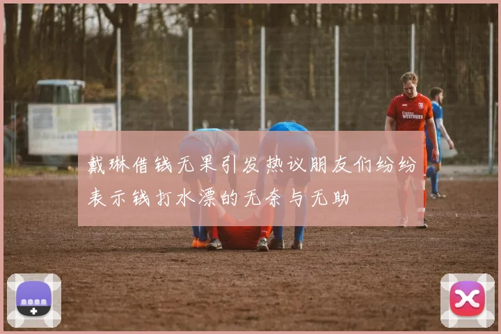 戴琳借钱无果引发热议朋友们纷纷表示钱打水漂的无奈与无助