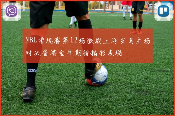 NBL常规赛第12场激战上海玄鸟主场对决香港金牛期待精彩表现